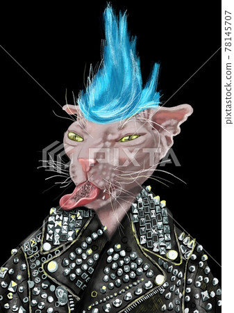 Hand-drawn stylized fashion illustration of a white Canadian Sphynx cat with blue mohawk, in a trendy biker leather coat with spikes and pyramid rivets decoration steel elements . Pets lovers art Hand-drawn stylized fashion illustration of a white Canadian Sphynx cat with blue mohawk, in a trendy biker leather coat with spikes and pyramid rivets decoration steel elements . Pets lovers art 78145707