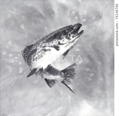 跳躍的虹鱒魚 sumi-e 圖 跳躍的虹鱒魚 sumi-e 圖 78146780