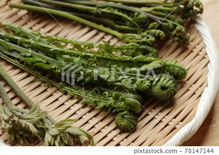 Wild plants on the colander [garbage] 78147144
