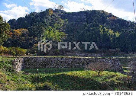 Gassantoda城堡全景 78148628