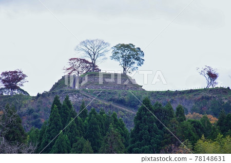 Gassantoda城堡全景 78148631