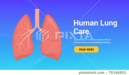 Lung anatomy health banner concept. Tuberculosis asthma human lung doctor biology Lung anatomy health banner concept. Tuberculosis asthma human lung doctor biology 78148803