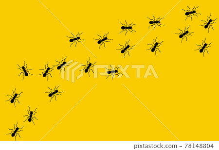 Ant vector trail marching illustration. Ant bug pest control background teamwork Ant vector trail marching illustration. Ant bug pest control background teamwork 78148804