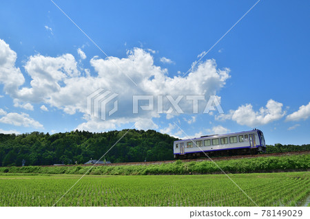 Kiha 120 on the Kansai Main Line running beside the rice fields 78149029