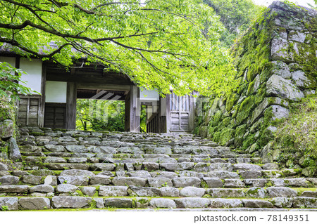 Akizuki Castle Ruins with Beautiful Fresh Green Nagayamon Akizuki Castle Ruins with Beautiful Fresh Green Nagayamon 78149351