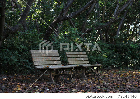 Park bench Park bench 78149446