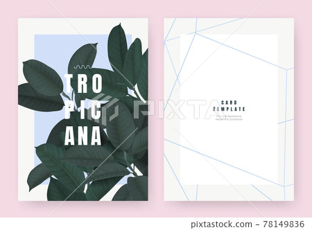 Tropical plant invitation card template design, dark green Ficus Elastica 78149836
