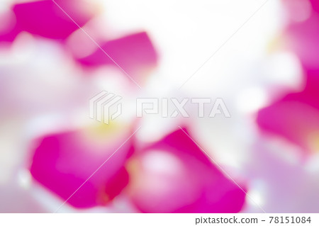 Image of rose petals floating on water (background material) Image of rose petals floating on water (background material) 78151084