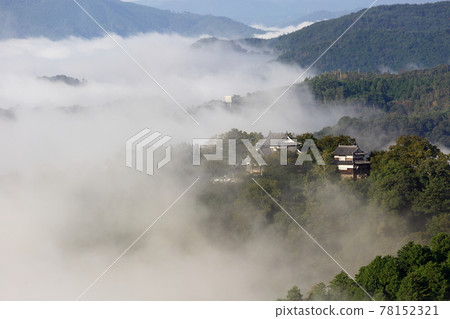 Bitchu Matsuyama Castle 78152321