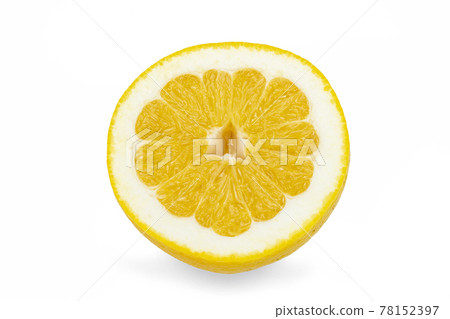 Miseikan cut in half Miseikan cut in half 78152397