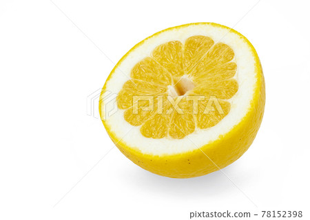 Miseikan cut in half 78152398