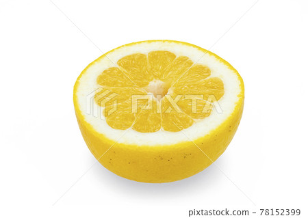 Miseikan cut in half Miseikan cut in half 78152399