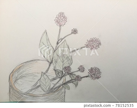 花 78152535