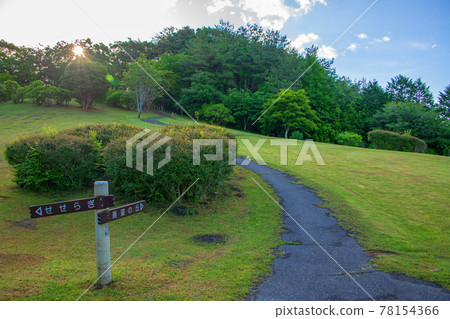 Spring scenery Nasunogahara Park 78154366