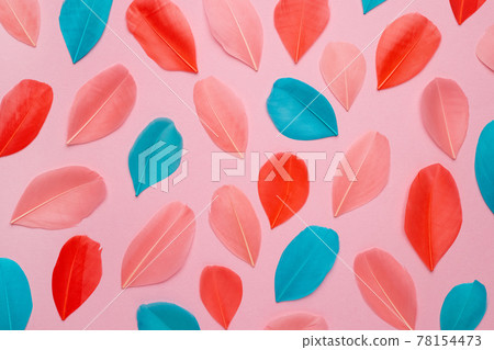 Beautiful abstract pink and purple feathers on pastel background and soft white pink feather texture on colorful pattern, colorful background, colorful feather 78154473
