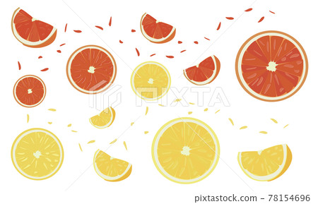 2種柑橘套裝 78154696