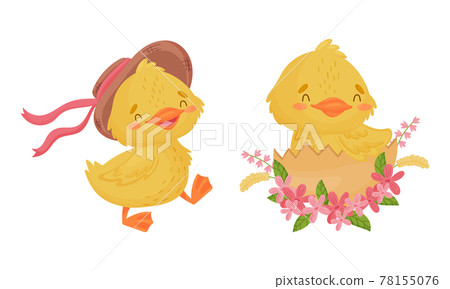 Cute Yellow Duckling Hatching from Egg and Walking in Hat Vector Set 78155076