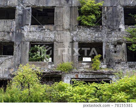 【礦山遺跡】岩手縣八幡平市松尾礦山住宅遺址七月夏草 78155381