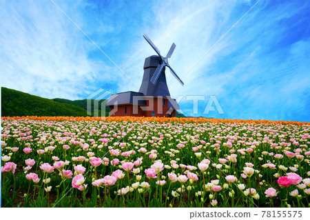 Kamiyuunetsu鬱金香公園 78155575