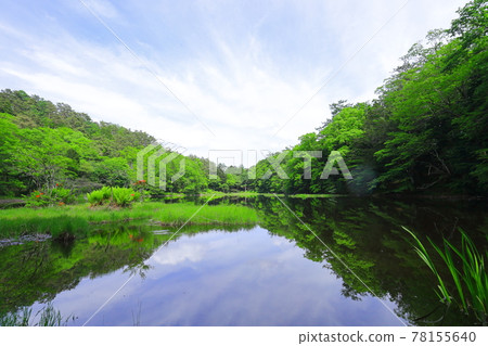 雨山湯池 雨山湯池 78155640