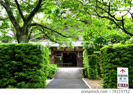 Ryuanji Temple Ryuanji Temple 78155752
