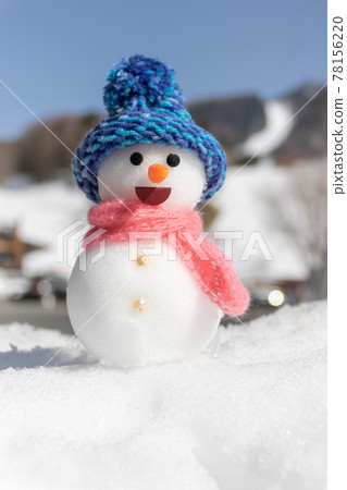 藍帽子的雪人 78156220
