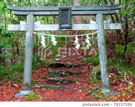 Rain Garden Valley 78157589