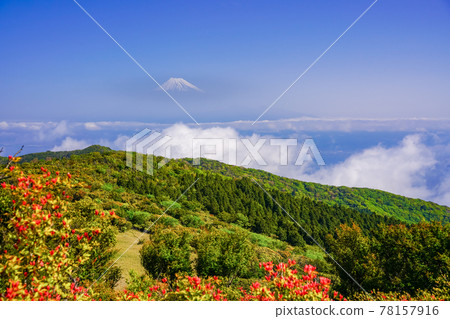 (Shizuoka Prefecture) Mt. Fuji over the sea, Mt. Izu Kinkanzan, where mountain azaleas bloom 78157916