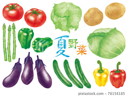 水彩夏季蔬菜 水彩夏季蔬菜 78158185