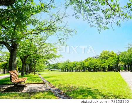 Blue sky and green park 78158590