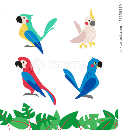 Collection of cute exotic macaw and ara parrots and tropical leaves isolated on white background.  78159519