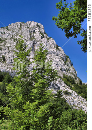 Hills and Valleys Landscape, Redes Natural Park, Spain Hills and Valleys Landscape, Redes Natural Park, Spain 78161866