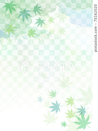 藍楓夏季框架 藍楓夏季框架 78162020