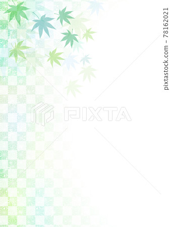 藍楓夏季框架 藍楓夏季框架 78162021
