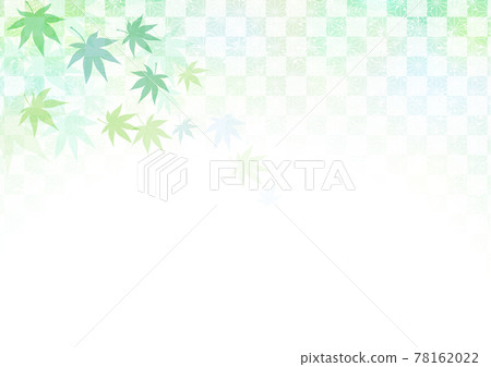 藍楓夏季框架 藍楓夏季框架 78162022