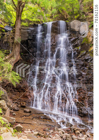(Yamanashi Prefecture) Mother's Shirataki (Yamanashi Prefecture) Mother's Shirataki 78162116