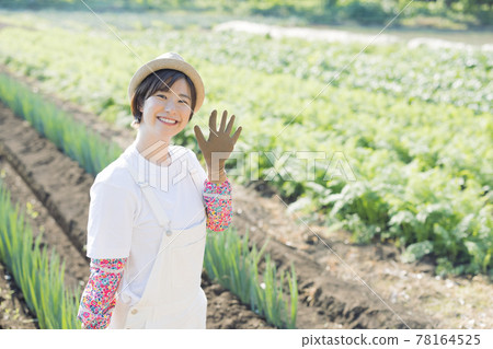Agricultural girl working in the field Agricultural girl working in the field 78164525