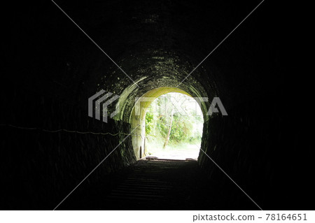 綠色隧道 綠色隧道 78164651