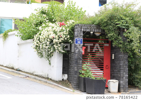 Jeongneunggol. Alley, flowers. Seongbuk-gu. Leaves Jeongneunggol. Alley, flowers. Seongbuk-gu. Leaves 78165422