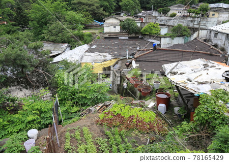 Jeongneunggol. Alley, flowers. Seongbuk-gu. Leaves 78165429