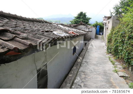 Seongbuk-gu. Jeongneung-gol. Alley. Green 78165674