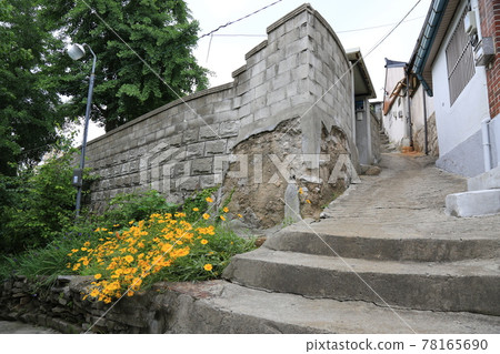 Seongbuk-gu. Jeongneung-gol. Alley. Green 78165690