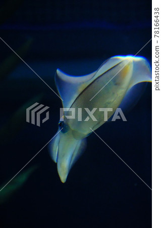 AOLIICA 78166438