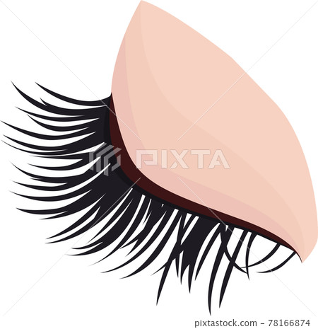 假睫毛的矢量圖解 78166874