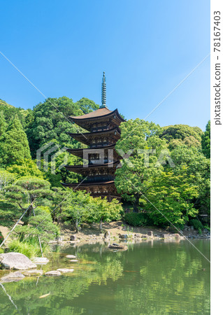 初夏的琉璃光寺五層塔山口縣山口市 初夏的琉璃光寺五層塔山口縣山口市 78167403