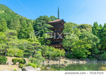 Rurikoji Five-storied Pagoda in early summer Yamaguchi City, Yamaguchi Prefecture 78167420