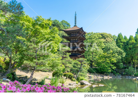 初夏的琉璃光寺五層塔山口縣山口市 78167464