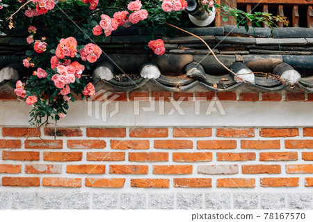 Bukchon Hanok Village, pink rose flowers and brick wall in Seoul, Korea Bukchon Hanok Village, pink rose flowers and brick wall in Seoul, Korea 78167570