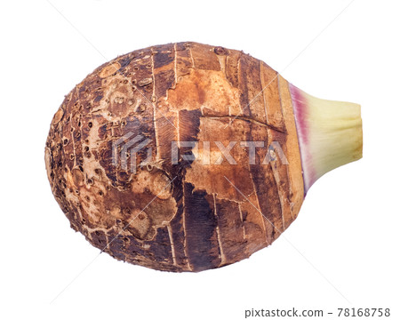 Taro isolated on white background 78168758