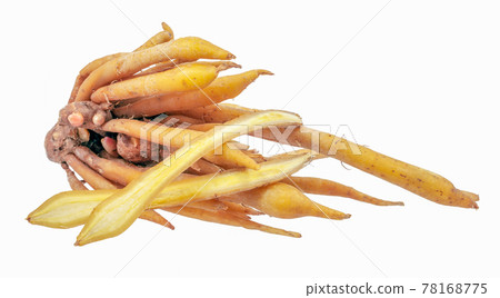 Finger Root or Chinese Ginger isoled on white background Finger Root or Chinese Ginger isoled on white background 78168775